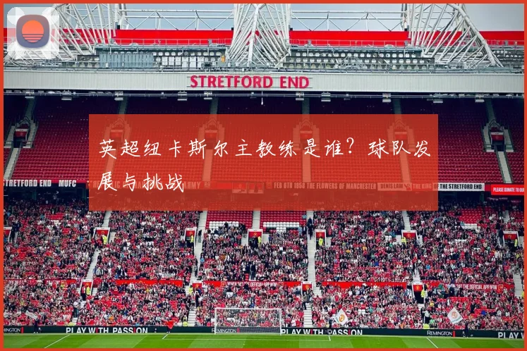 英超纽卡斯尔主教练是谁？球队发展与挑战