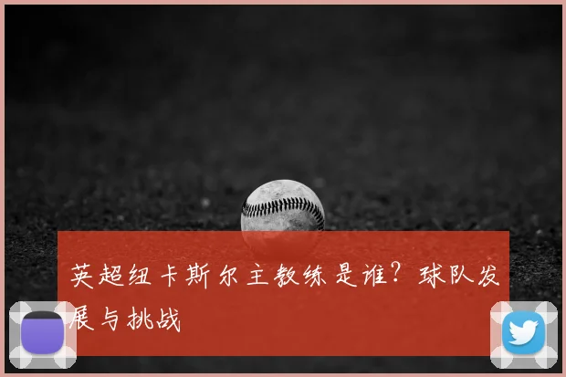 英超纽卡斯尔主教练是谁？球队发展与挑战